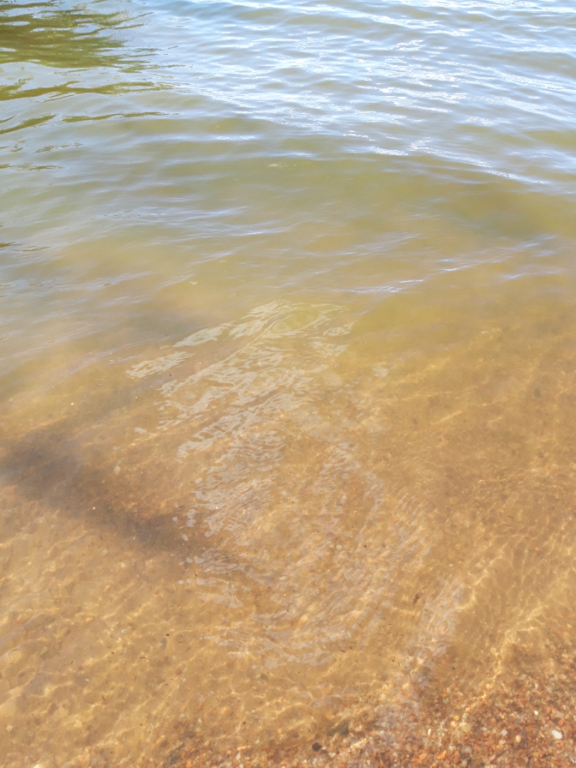 Köyliönjärvi (34.054.1.001)-Valtakunnallinen sinileväseuranta (Yttilän Otta)-ObsIMG-202109011302-612f50848996a.png