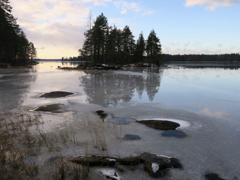 Leväsaari 19 11 2016.JPG