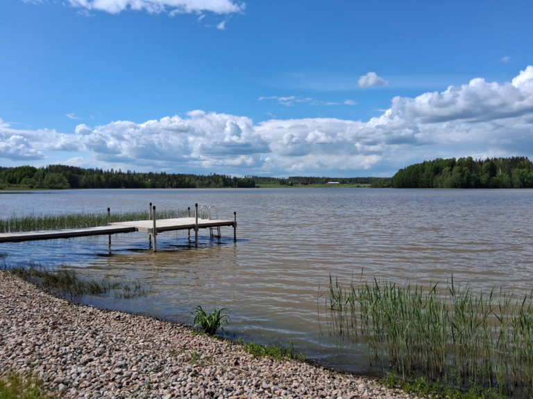 Mallusjärvi (18.033.1.001)-Valtakunnallinen sinileväseuranta (seurakunnan leirikeskus)-ObsIMG-202506061435-1749209774606.png