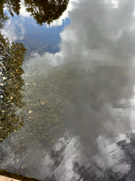 Pitkäjärvi (04.152.1.002)-Valtakunnallinen sinileväseuranta (Pitkäjärven uimaranta)-ObsALG-202506251015-1750844323750.png