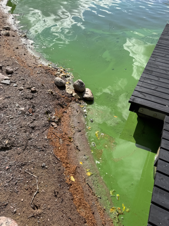 Saarentaanjärvi (27.032.1.004)-Saarentaanjärvi -ObsALG-202508171316-68a1ac35cbde9.png