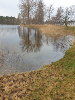 Urpolanjoen valuma-alue (04.152)-Vanha Uimaranta-ObsIMG-202304270845-644a0bc841cdd.png