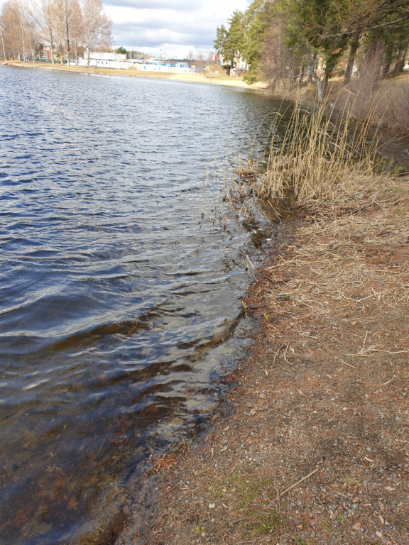 Urpolanlampi (04.152.1.001)-Kartanon uimaranta-ObsIMG-202304291158-644cdc2b1b747.png