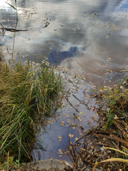 Tiedosto:Urpolanlampi (04.152.1.001)-Uusi hulevesiputki-ObsIMG-202410171125-6712329b660fb.png