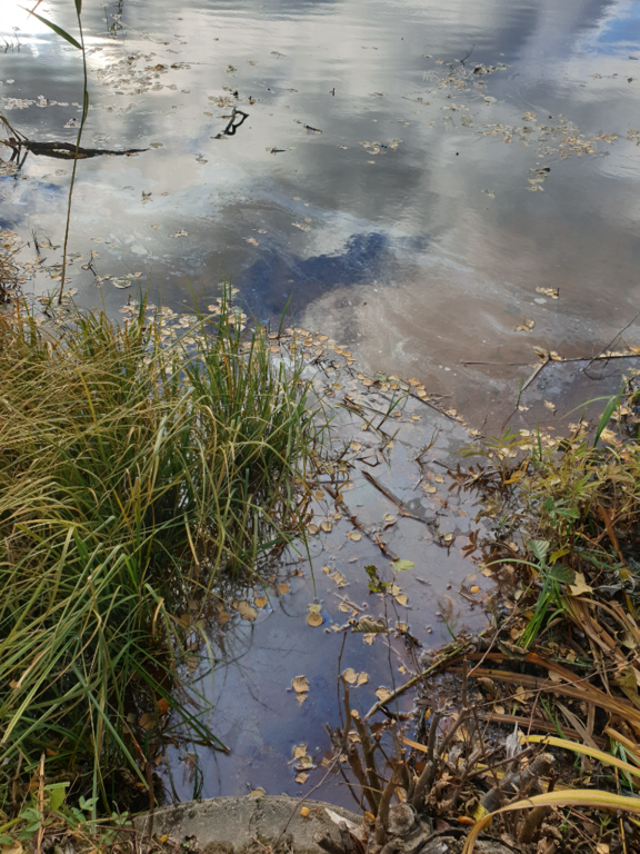 Urpolanlampi (04.152.1.001)-Uusi hulevesiputki-ObsIMG-202410171125-6712329b660fb.png