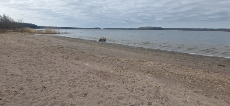 Tiedosto:Dragsvik-Ramsholmenin uimaranta-ObsIMG-202504271027-680ddca0dc183.png