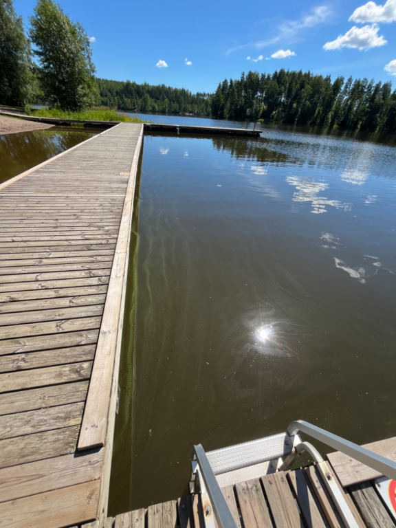 Hunttijärvi (19.003.1.014)-Saaren ranta-ObsALG-202407101526-668e7e61340f8.png