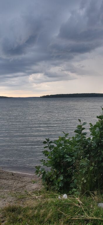Vesijärvi (14.241.1.001)-Valtakunnallinen sinileväseuranta (Pirppulan uimaranta)-ObsIMG-202008191815-26.jpg