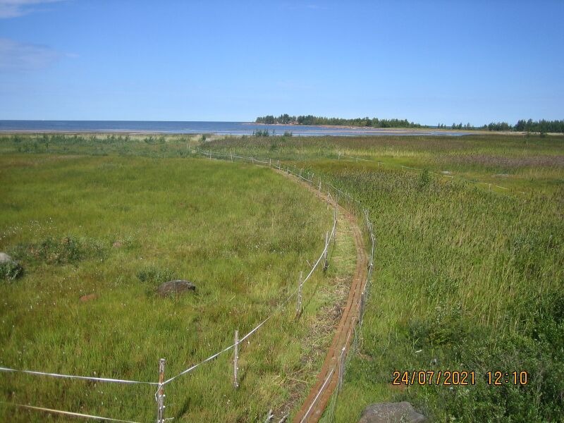 Tiedosto:Veteraanimajan lintutornista 2.JPG