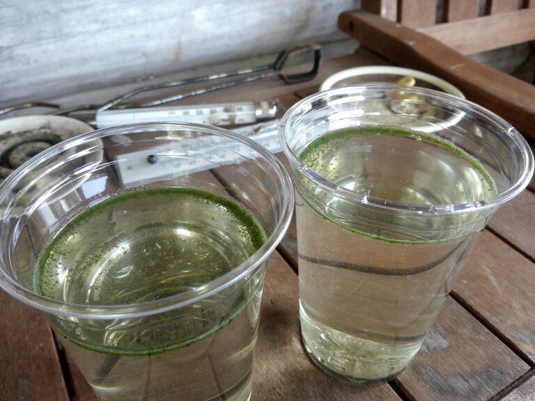 Kuolimo (04.141.1.001)-Luotolahti-ObsIMG-201807111554-94.jpg