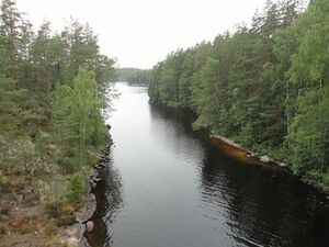 Repovesi - Luujärvi - Tihvetjärvi (14.981.1.001) Lapinsalmi riippusillalta. ©Korja Kimmo