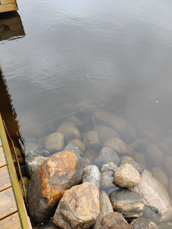 Päijänne (yhd.)-Valtakunnallinen sinileväseuranta (Majutvesi)-ObsALG-202206081018-62a04dc4b1196.png