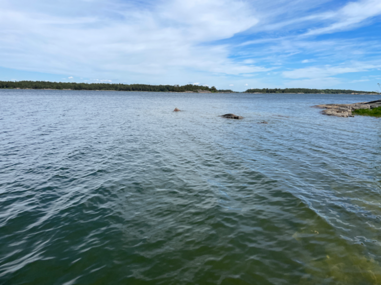 Porkkala-Jussarö-Rotarien sinileväseuranta (Gyltan)-ObsIMG-202106141256-60c7284b6b9dc.png