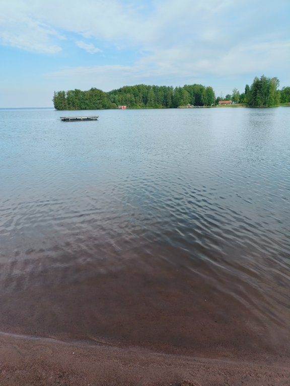 Pyhäjärvi (34.031.1.001)-Valtakunnallinen sinileväseuranta (Katismaan uimaranta)-ObsALG-202507230817-1753247881026.png