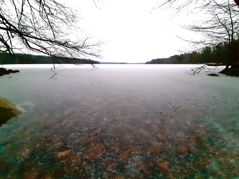 Sääksjärvi (23.097.1.002)-Sääksjärvi-ObsICE-202012111530-7.jpeg