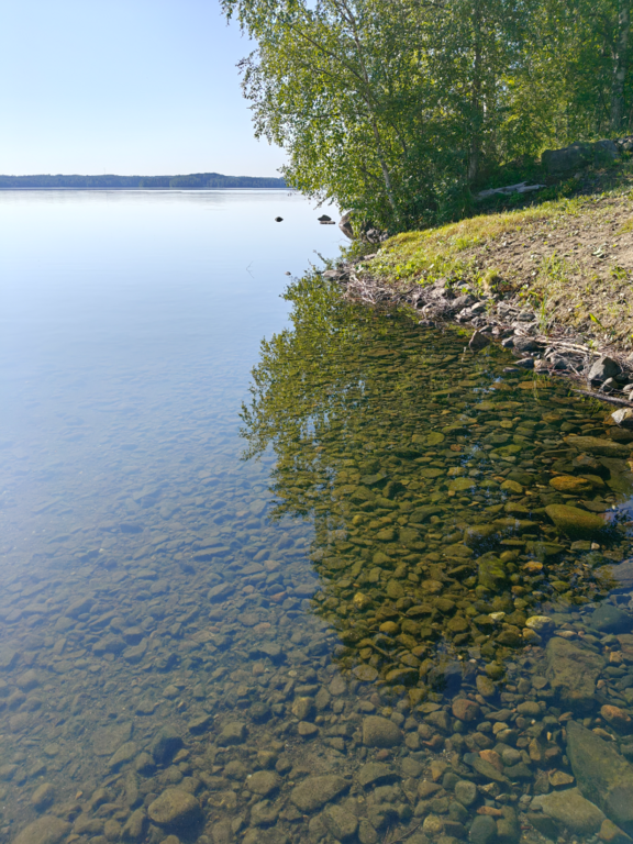 Särkijärvi (04.376.1.001)-Havaintopaikka 1-ObsIMG-202507160810-687734850d04f.png