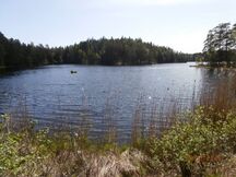 Näkymä koillisrannalta läheltä tietä (KI 22.5.2016)