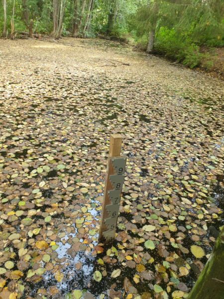 Tiedosto:Urpolanjoen valuma-alue (04.152)-Urpolan aarimaan puistoväylän silta-ObsIMG-202509121244-1757670315865.png