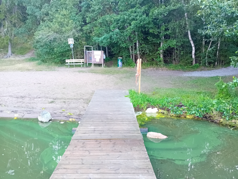 Hiidenvesi (23.031.1.001)-Haudankallio-ObsIMG-202407020717-66838dbaa3f28.png