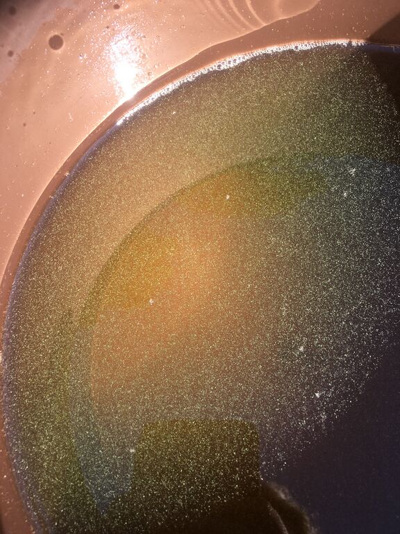 Liesjärvi (35.484.1.001)-Havaintopaikka 1-ObsALG-202007171100-85.jpeg