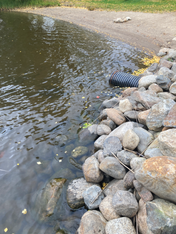 Päijänne (yhd.)-Valtakunnallinen sinileväseuranta (Majutvesi)-ObsALG-202209201048-63297080ca84a.png