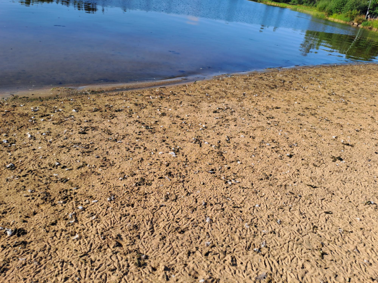 Raahen edusta-Valtakunnallinen sinileväseuranta (Pikkulahti, uimaranta)-ObsTRASH-202408071121-66b32f79641f1.png