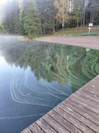 Unnukka (04.271.1.001)/Valtakunnallinen sinileväseuranta (Kalmalahti)