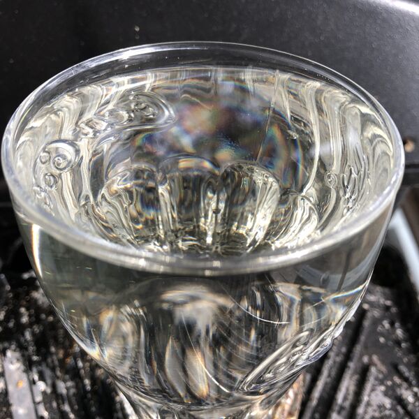 Tiedosto:Koviojärvi (61.382.1.001)-Lummelahti-ObsIMG-202007231706-77.jpeg