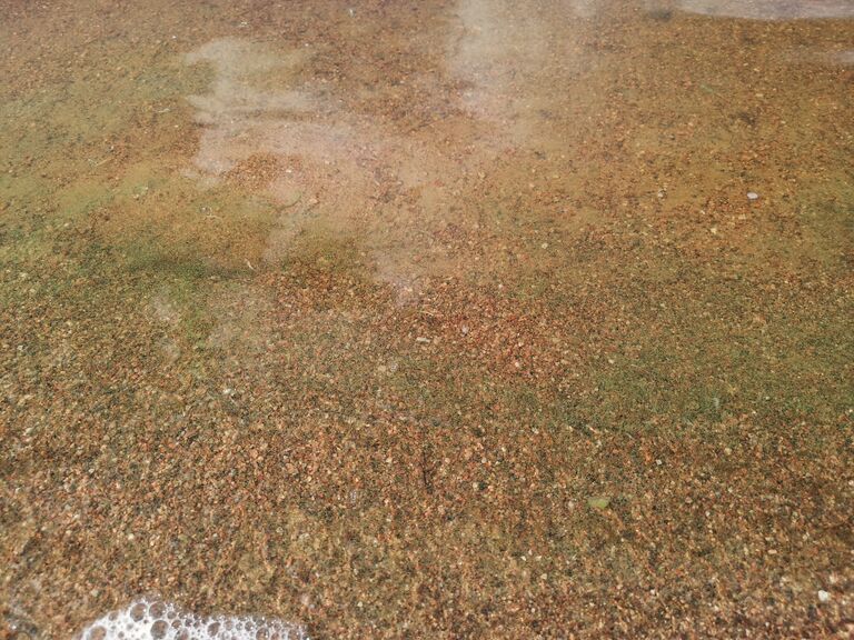 Lappalanjärvi (14.181.1.001)-Särkkien uimaranta Lappalanjärvi-ObsALG-202007171500-15.jpg