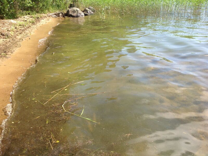 Tiedosto:Puruvesi (Saimaa) (04.181.1.001)-Välilahti-ObsIMG-201806281542-44.jpg