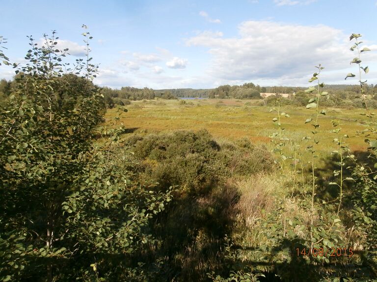 Pusulanjarven lintutornista.JPG