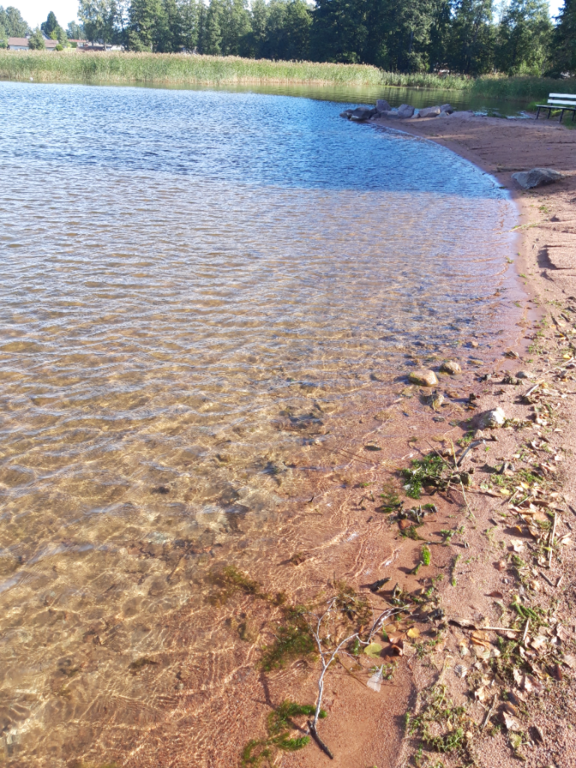 Pyhäjärvi (34.031.1.001)-Valtakunnallinen sinileväseuranta (Katismaan uimaranta)-ObsALG-202208301035-630dbdc0af439.png