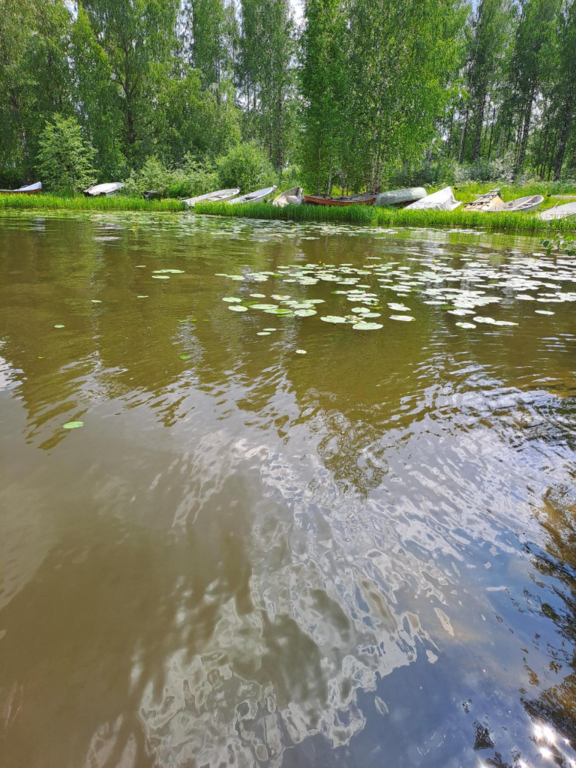 Pyhäjärvi (35.211.1.001)-Valtakunnallinen sinileväseuranta (Lehtiniemi)-ObsIMG-202306211650-6493007148fd3.png
