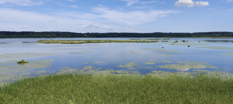 Tiedosto:Ahtialanjärvi (35.221.1.001)-Virta kampuksen lintutorni-ObsIMG-202107091418-60e8318d89803.png