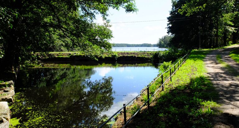 Björkboda träsk2.jpg