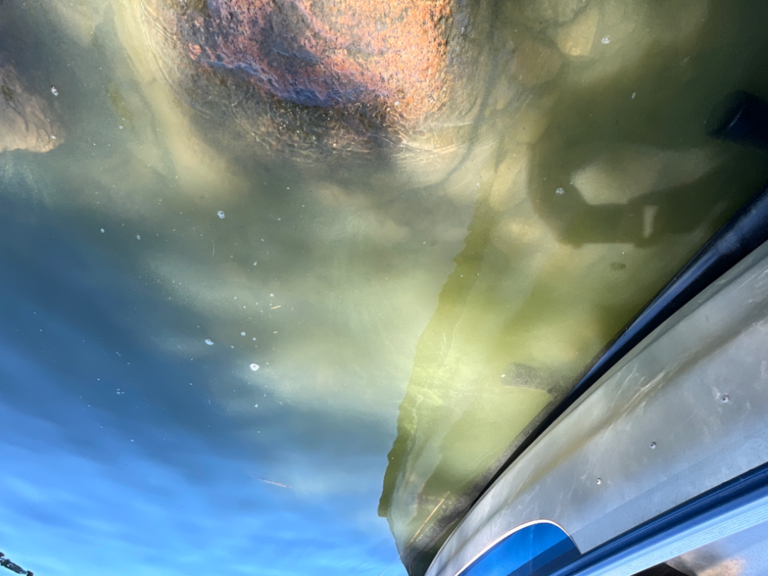 Hylkimyksenaukko-Vaakua 438-ObsALG-202307101512-64abf705dbfc0.png