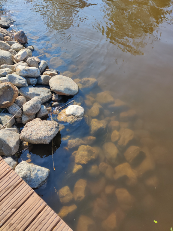 Päijänne (yhd.)-Valtakunnallinen sinileväseuranta (Majutvesi)-ObsALG-202306270933-649a831106bbd.png