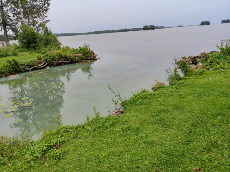 Pyhäjärvi (34.031.1.001)-Kunnan ranta-ObsIMG-202106231407-60d3176027211.png