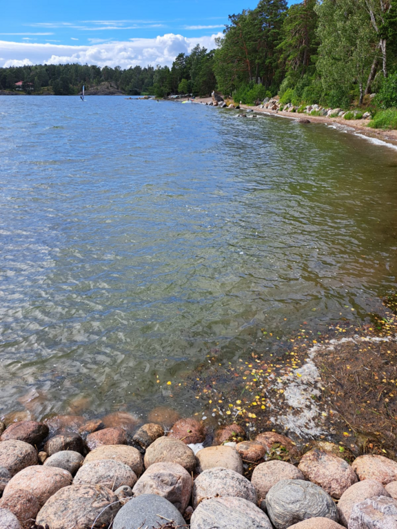 Villinki-Rotarien sinileväseuranta (Pikku Kortlahti, Hotelli Rantapuisto)-ObsIMG-202207271635-62e2e54797509.png