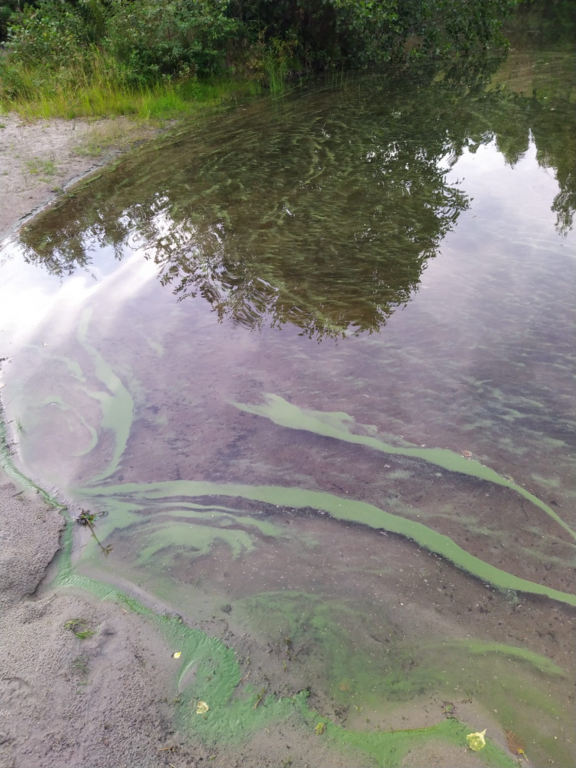 Ei nimeä (84.004.1.002)-Havaintopaikka 1-ObsIMG-202208102105-62f4d962460f6.png