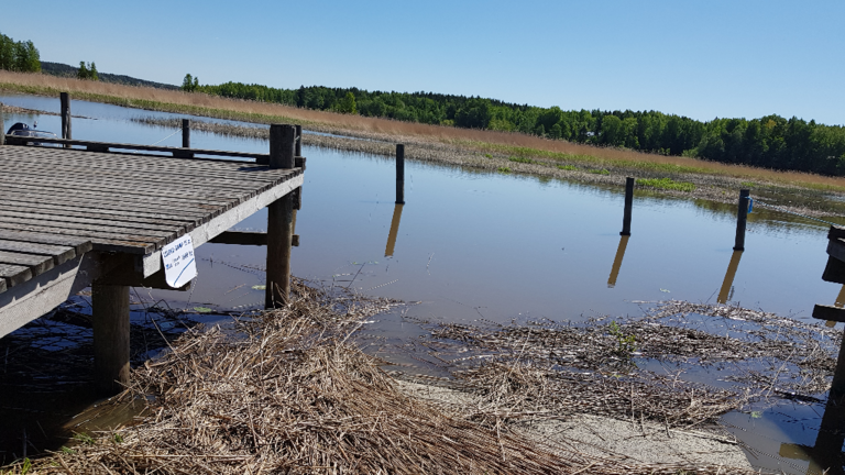 Emäsalo-Rotarien sinileväseuranta (Uddaksen kyläsatama)-ObsTRASH-202206061254-629dcfaba4c29.png