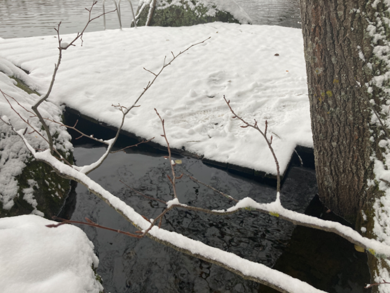 Iso Kuhajärvi (14.314.1.001)-Brittilänranta-ObsLEVEL-202311131031-6551e6b967e70.png