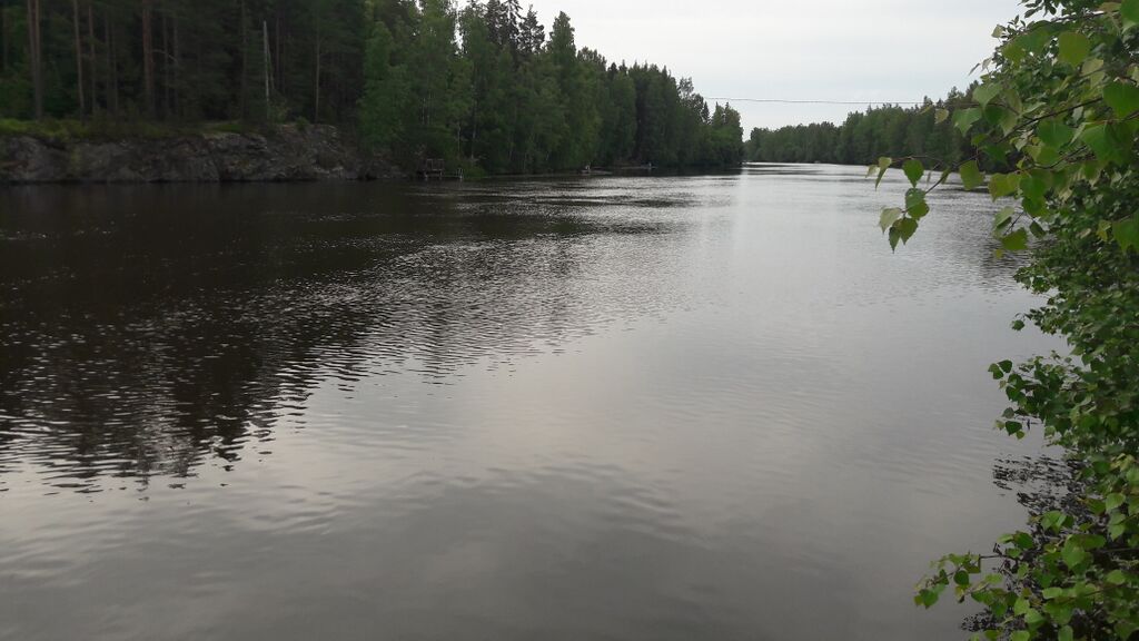 Karhiniemen alue (35.122)-Paja-Ahde-ObsIMG-201707110910-5.jpg