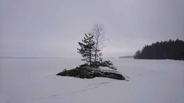 Kari Riihilahdella.JPG