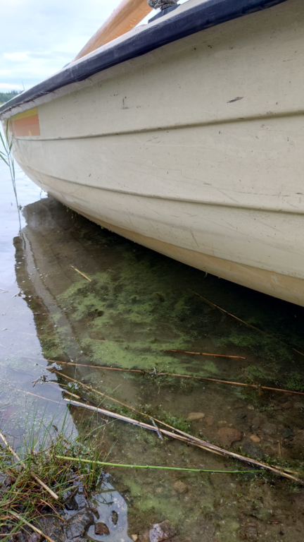 Bergöfjärden-Havaintopaikka 5-ObsALG-202407150827-66964ba4e91d7.png