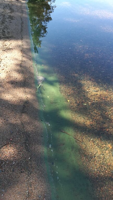 Saimaa (04.112.1.001)-Rokansaari-ObsIMG-201806281200-5.jpg