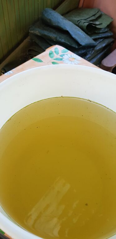 Vanajavesi (yhd.)-Vanajavesi, Lusinselkä-ObsALG-201807121019-22.jpg