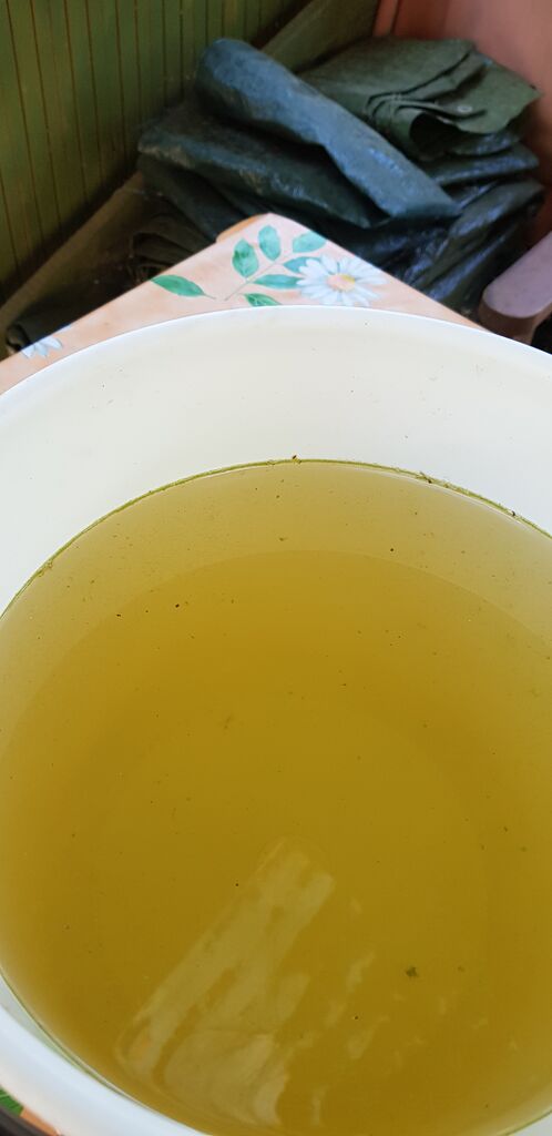 Vanajavesi (yhd.)-Vanajavesi, Lusinselkä-ObsALG-201807121019-22.jpg