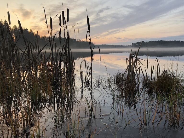 Hulkkianjärvi (11.006.1.014)-Havainnot-ObsIMG-201911031600-37.jpeg