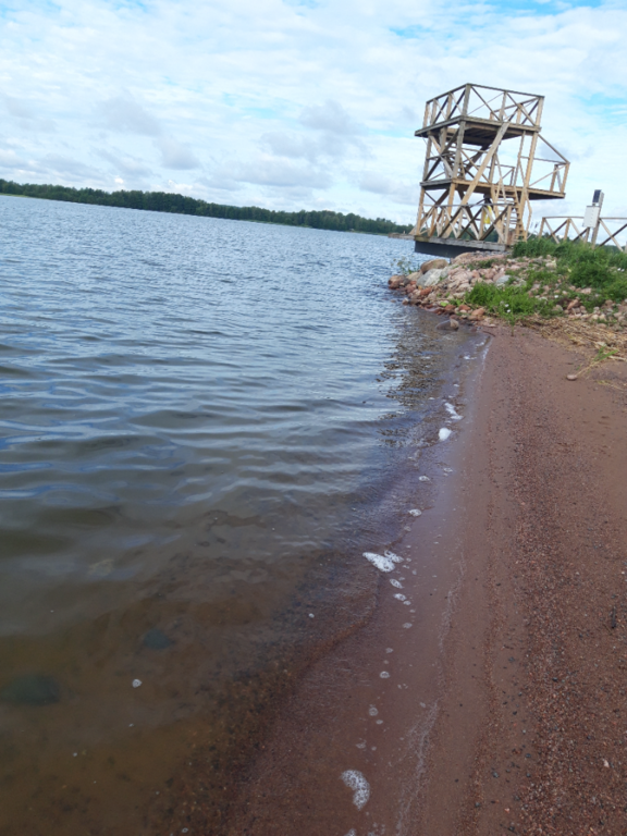 Köyliönjärvi (34.054.1.001)-Valtakunnallinen sinileväseuranta (Yttilän Otta)-ObsALG-202307190934-64b78466775fb.png